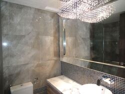 The Vision (D5), Condominium #581814281
